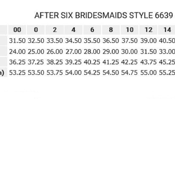 After Six 6639....Special Occasion / Formal Dress ....Coastal...Size 4...NWT - Picture 3 of 4